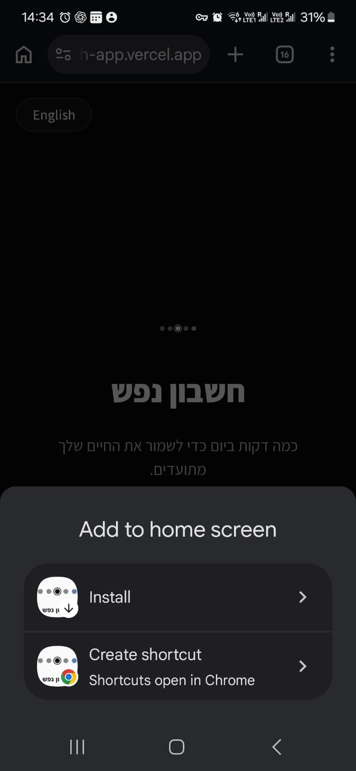 צילום מסך: בוחרים באפשרות Install